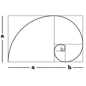 ترکیب حلزونی